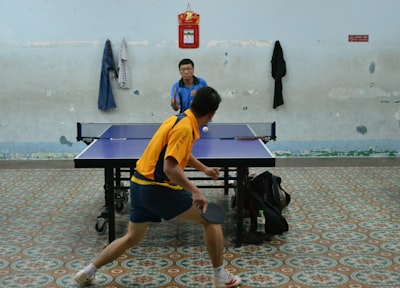 Professional Table Tennis.