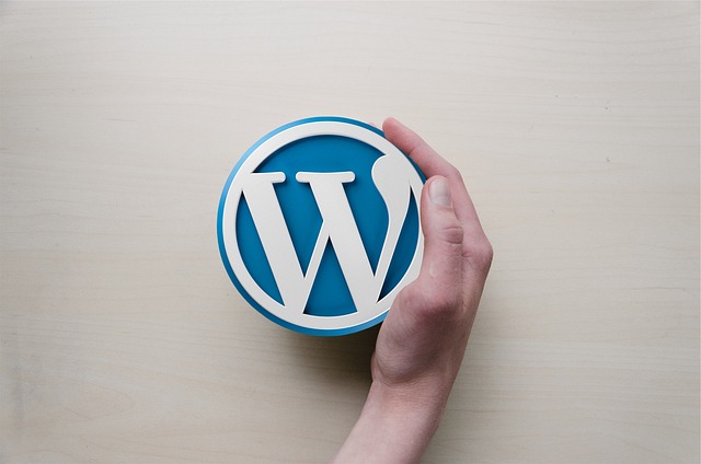 Embracing the WordPress Cosmos: A Comprehensive Guide for Beginners and…